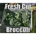  SPRAY FREE BROCCOLI MEDIUM Each - KATIKATI Grown